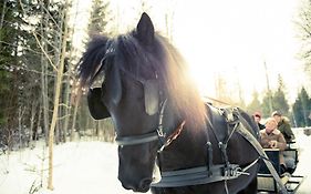 Bispbergs Herrgard Säter